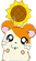 哈姆太郎  